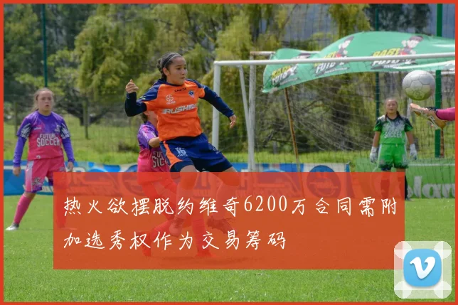 热火欲摆脱约维奇6200万合同需附加选秀权作为交易筹码